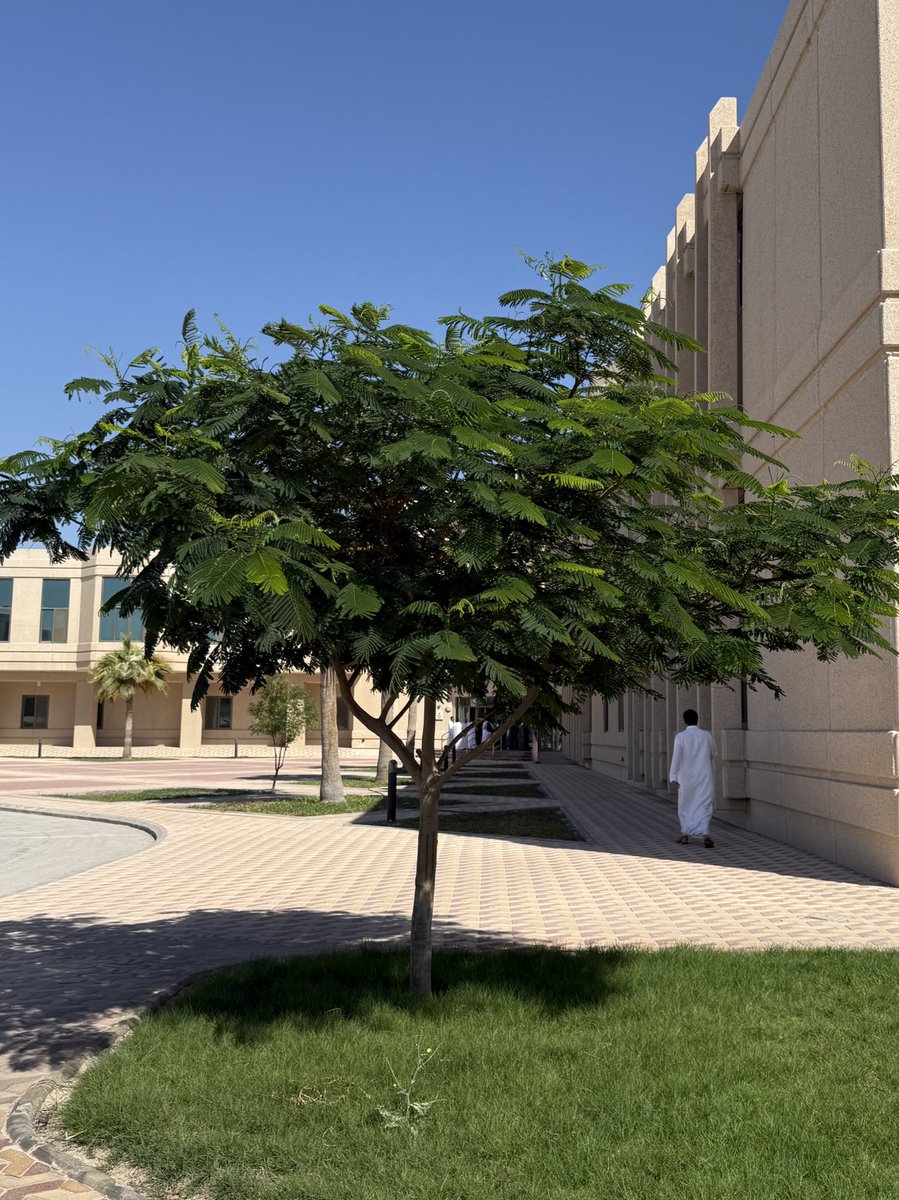 Ali Alshehri tweet media