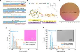 Post 10/12 (Challenges) Not without hurdles:
Contamination-free transfer to large wafers.

Consistent yields at scale (300mm).
But progress is rapid (pilot lines solving these).