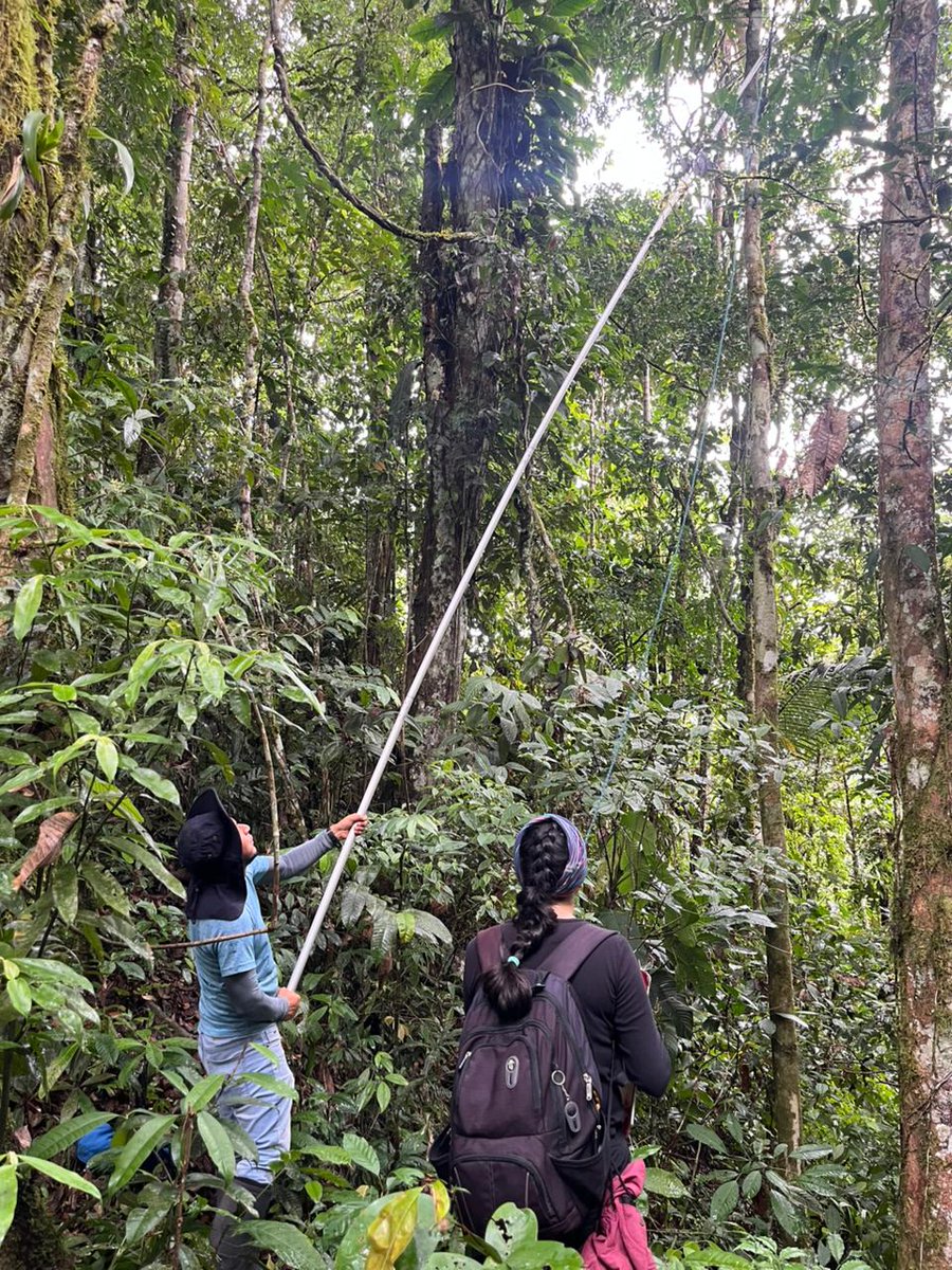 UTPL Investiga tweet media