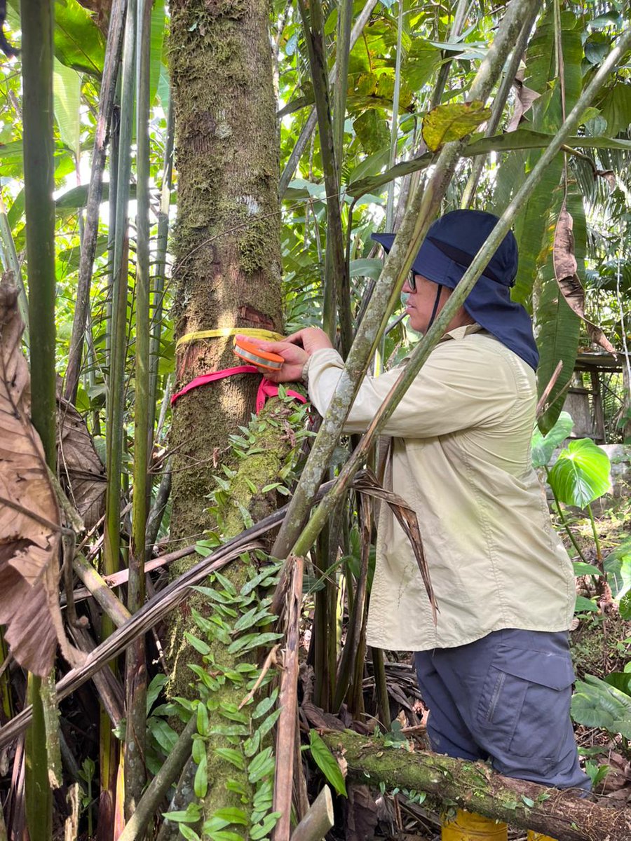 UTPL Investiga tweet media