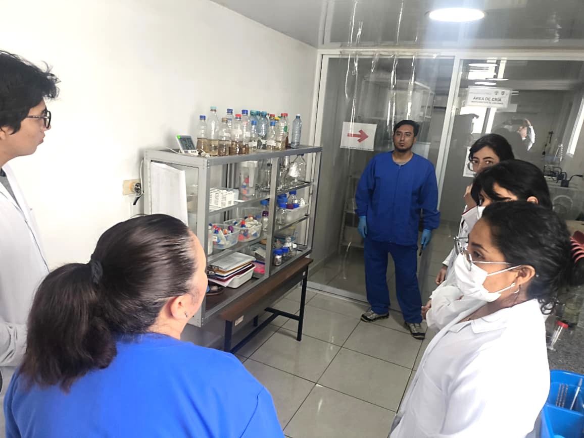 INSPI_ECUADOR's tweet image. 🔬 El INSPI recibió la visita de 23 estudiantes de la carrera de Biología de @UniYachayTech en el marco del convenio interinstitucional vigente entre ambas instituciones. Durante la jornada, los estudiantes realizaron un recorrido técnico por el Bioterio, el Insectario y el…