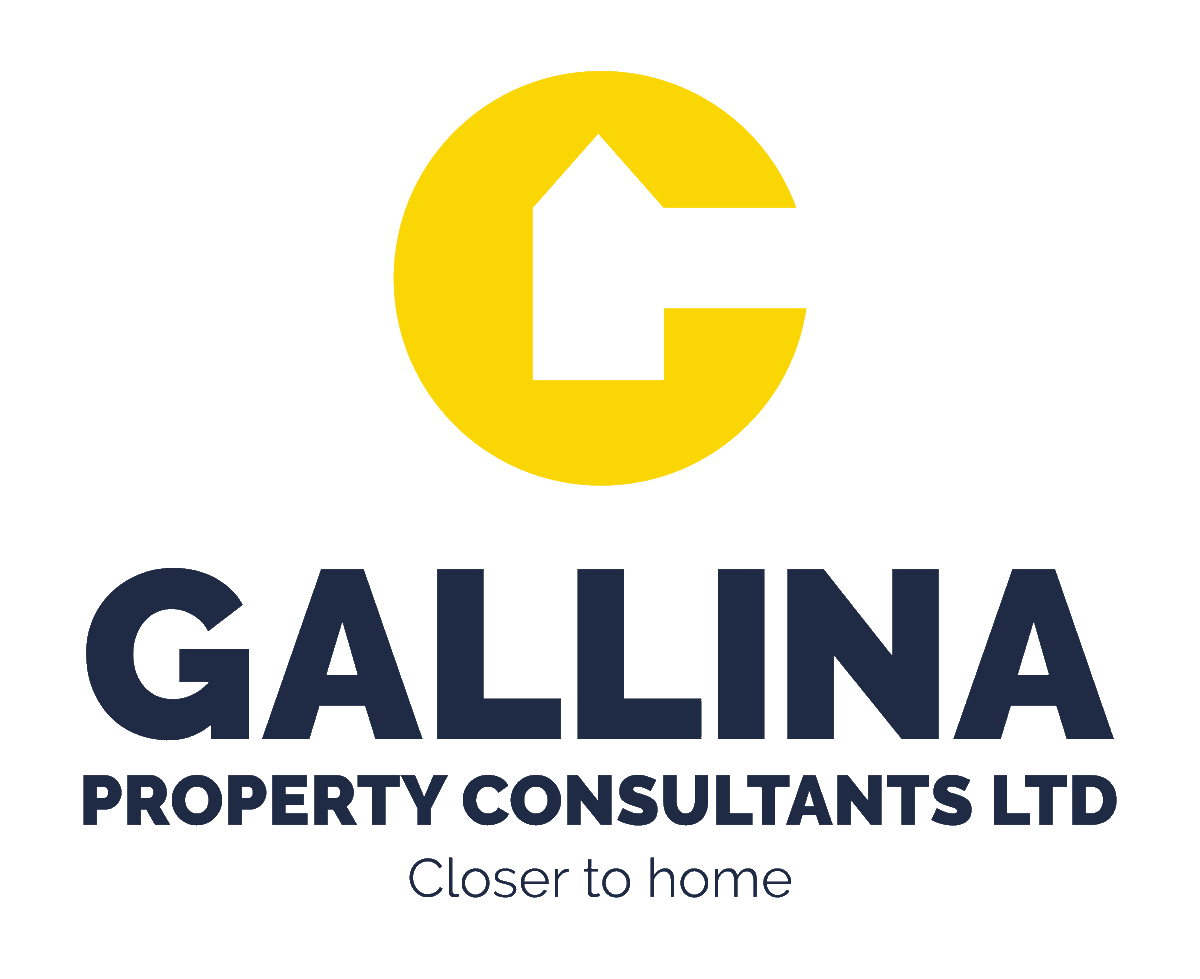 GallinaProperty's tweet photo. https://t.co/VBVuC393Uv