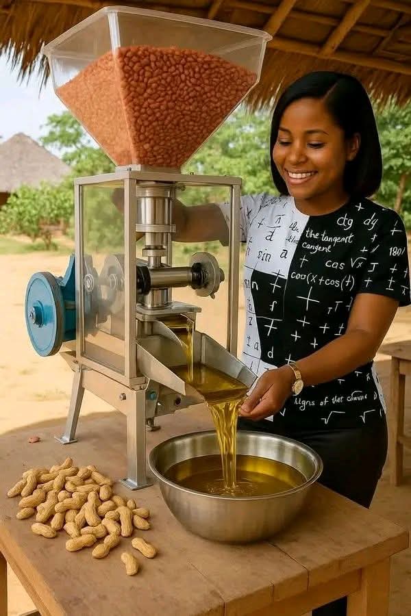 JoelOptimist1's tweet photo. Beginner’s Guide: How to Process Peanut Oil Successfully

Processing peanut (groundnut) oil is a practical way for farmers and small entrepreneurs to add value to their harvest. With the right steps and simple equipment, you can produce clean, high-quality oil for home use or sale while also earning from the by-products. Below is a clear, beginner-friendly guide to help you succeed.

Selecting Quality Peanuts

Start with mature, dry, and clean peanuts. Quality raw materials determine both the quantity and taste of the oil. Avoid peanuts that are moldy, damp, or damaged, as they reduce oil yield and can be unsafe for consumption.

Cleaning the Peanuts

Remove dirt, stones, shells, and spoiled nuts before processing. This can be done by hand, using a sieve, or through simple winnowing. Proper cleaning protects the oil press machine and ensures the oil produced is clean and safe.

Drying for Better Yield

Dry the peanuts under the sun for one to two days until they are fully dry and crisp. Low moisture content improves oil extraction. Always dry peanuts in a clean, dry area to avoid contamination.

Shelling the Peanuts (If Required)

Some oil press machines work better with shelled peanuts. Use a manual or motorized sheller if needed. Always confirm the requirements of your specific machine, as some models can process peanuts with shells.

Roasting for Flavor and Efficiency

Light roasting is optional but beneficial. Gently roast the peanuts in a dry pan or roaster to enhance flavor and improve oil flow during pressing. Avoid over-roasting, as excessive heat can lower oil quality.

Oil Pressing

Feed the dry or lightly roasted peanuts into the hopper of the oil press machine. The machine crushes and presses the peanuts, releasing oil. The oil flows out into a clean container, while the solid residue, known as oilcake, exits separately.

Filtering the Oil

Filter the fresh oil using a fine sieve or clean cloth to remove particles. For clearer oil, allow it to settle for 24 to 48 hours or use a simple oil filter. Clean oil has better appearance and longer shelf life.

Proper Storage

Store the filtered oil in clean, airtight bottles or jars. Keep them in a cool, dry place away from direct sunlight. When well filtered and stored, peanut oil can last for several months.

Utilizing Every Output

The oil can be used for cooking or sold locally. The leftover oilcake is valuable and can be used for animal feed, making peanut butter, or other by-products, creating additional income.

Why a Peanut Oil Press Machine Is Worth the Investment

Owning an oil press machine allows farmers to move beyond selling raw peanuts. By processing oil, you earn more value from the same harvest. The machine reduces labor, is easy to operate, durable, and simple to maintain. Most importantly, it gives farmers independence, improves household food security, and opens doors to small agribusiness opportunities.

A Message to Farmers

Do not let middlemen or unstable markets control your profits. By investing in peanut oil processing, you take charge of your produce, create new income streams, and build a sustainable business for yourself and your community.