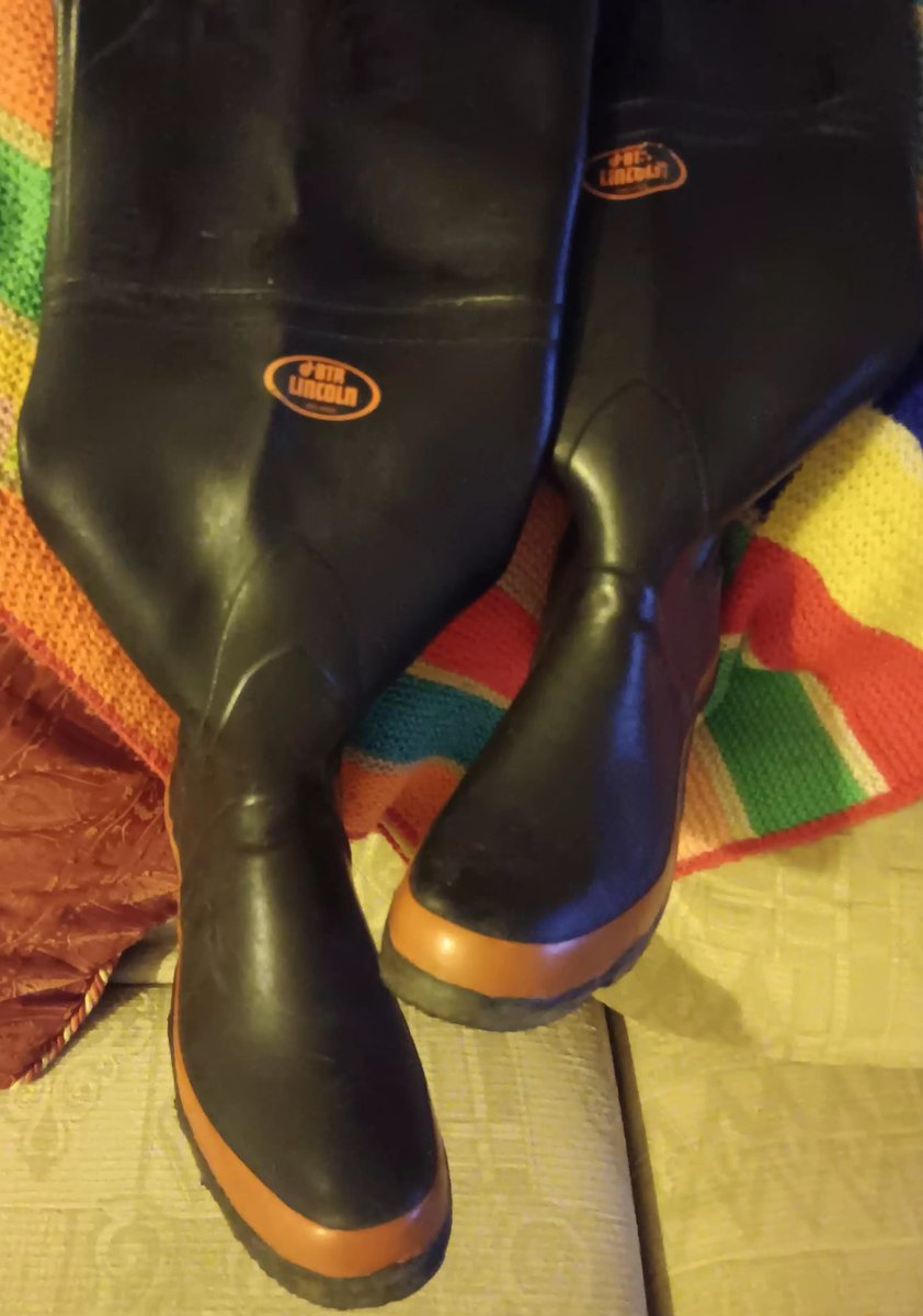 HardForWellies tweet media