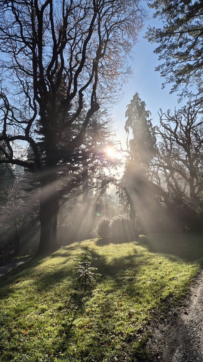 PaddyAtkin's tweet image. Beautiful day yesterday at #Bodnantgarden Bodnant Gardens. Cool misty and fresh but perfect for a winters walk.