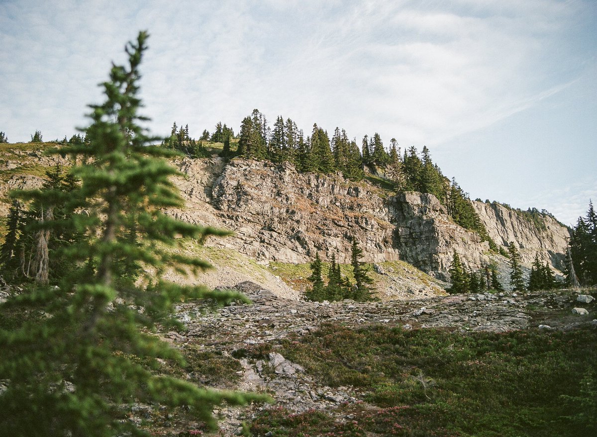 Portra 400 and the Washington backcountry is my bread and butter 🎞️