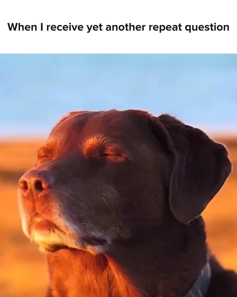 TechSmith Snagit tweet media