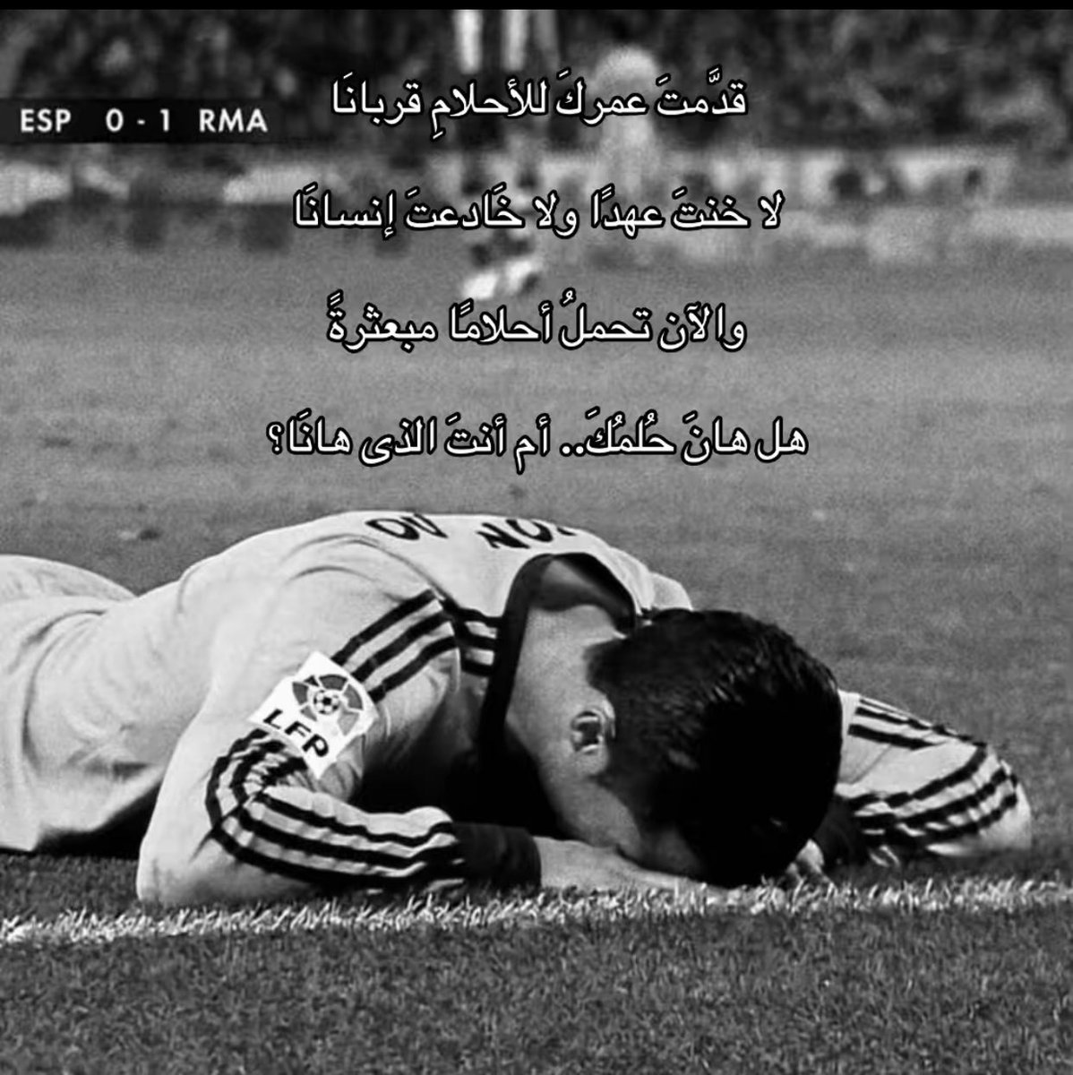 Mohamed Elshenoudi tweet media