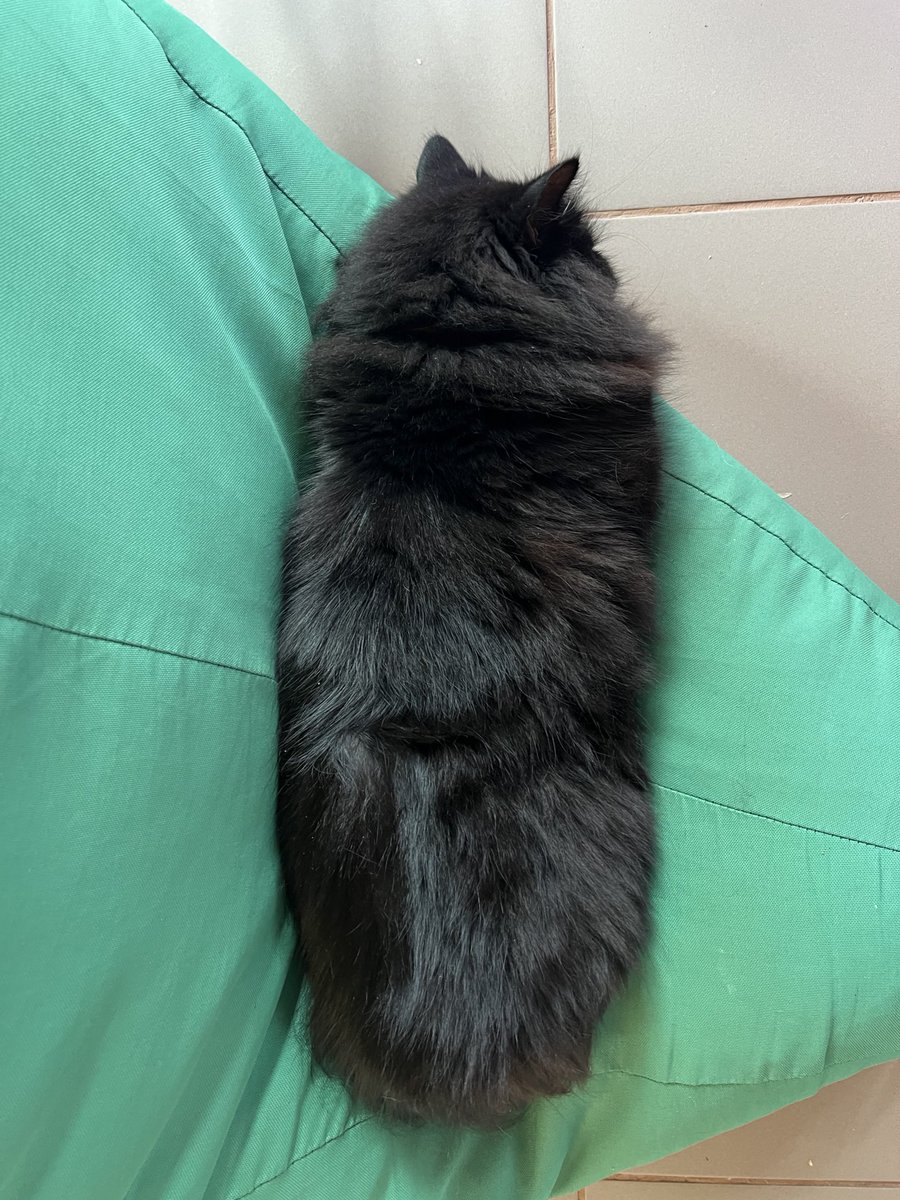 А гусінь все ніяк не перетвориться на метелика