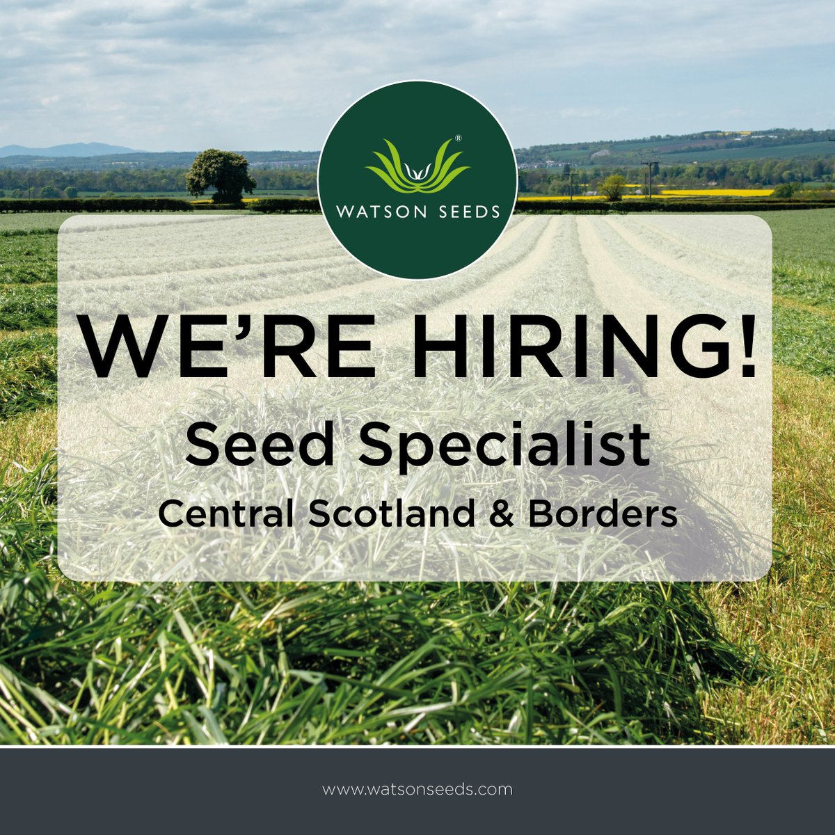 Watson Seeds tweet media