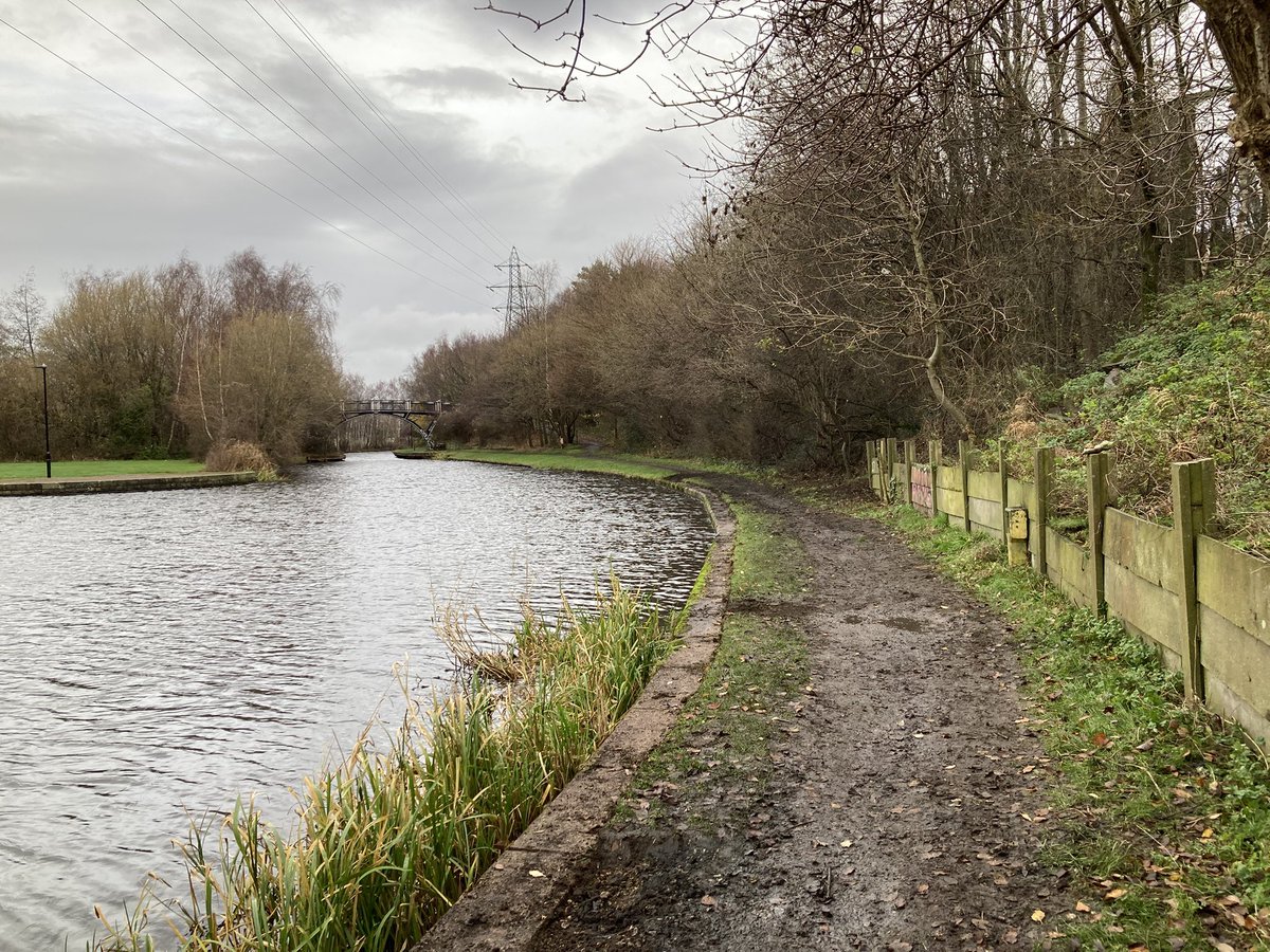 Blue loop tweet media