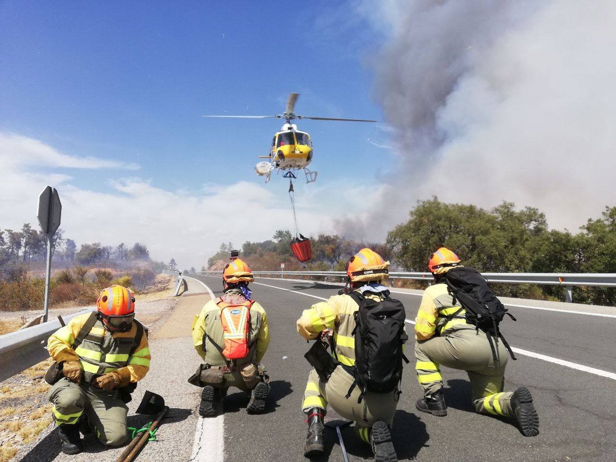 Lo primero que hicieron PP y VOX cuando ganaron las elecciones en Extremadura fue aumentar en un 800% el presupuesto en tauromaquia, en toreros.

Lo último que hizo el PP fue despedir a bomberos que se jugaron la vida en los incendios.

Yo votaría por bomberos, no por toreros.