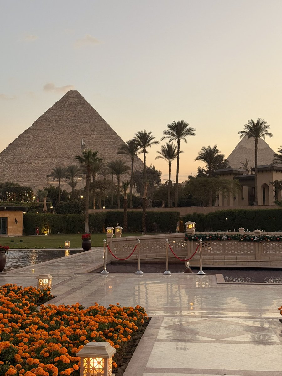 Olivia.S.Mitchell tweet media