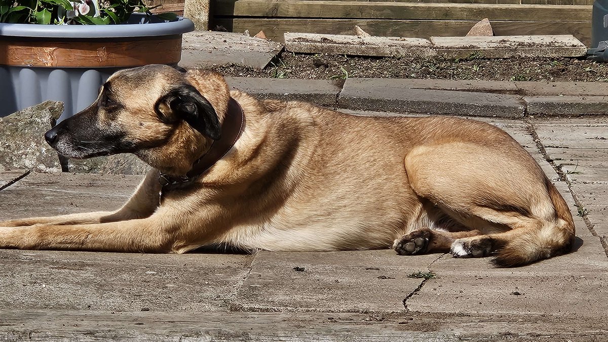 Churd 🐸 tweet media