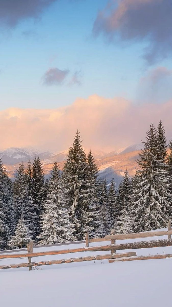 کمی زیبایی ببینین پارت ۶۳۴