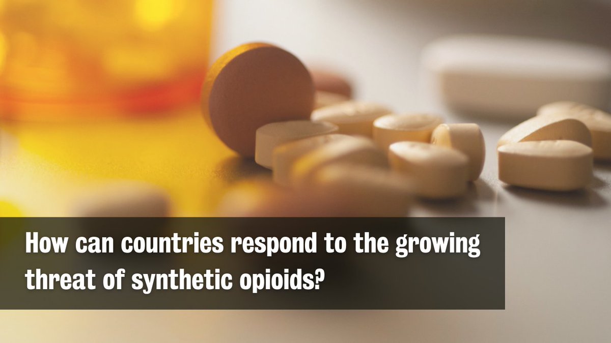 War Studies tweet media