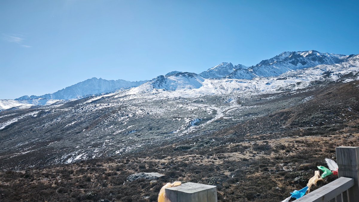 巧枝曲 tweet media