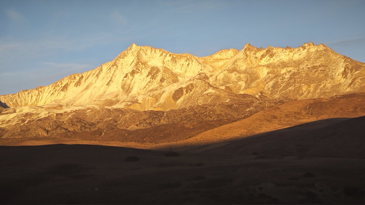 巧枝曲 tweet media