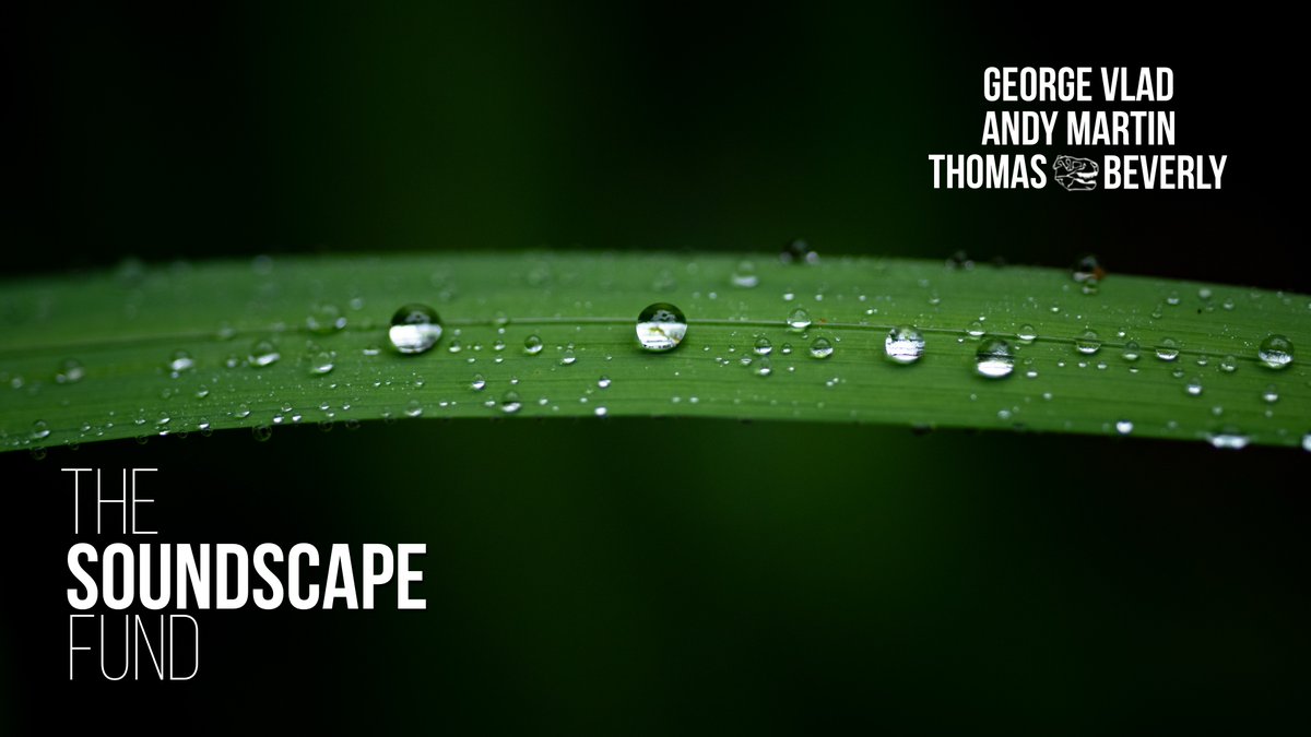 Thomas Rex Beverly tweet media