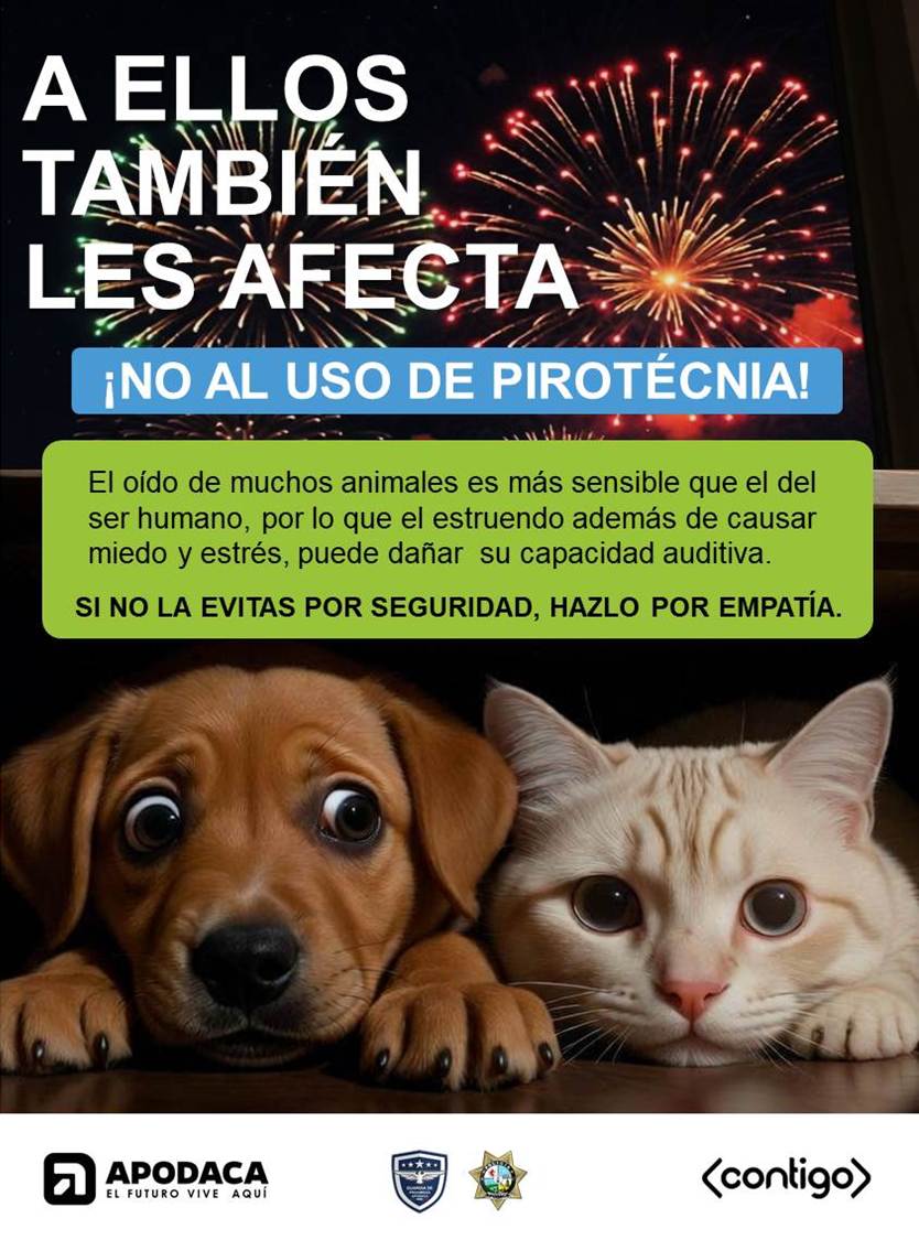 Piensa en las mascotas, si no evitas la pirotecnia por tu seguridad, hazlo por empatía.  #ElFuturoViveAquí