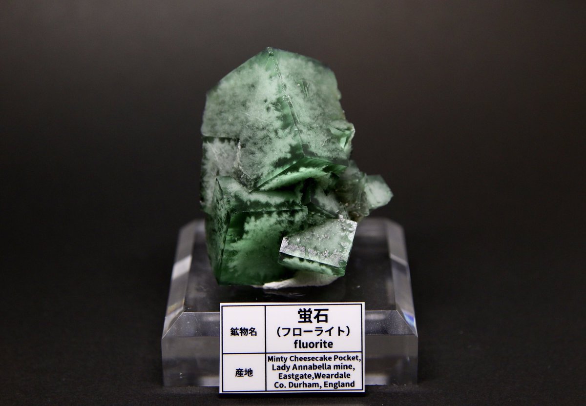 ころも(黒糖焼酎も美味しい) (@abokado23tenpur) / Posts / X