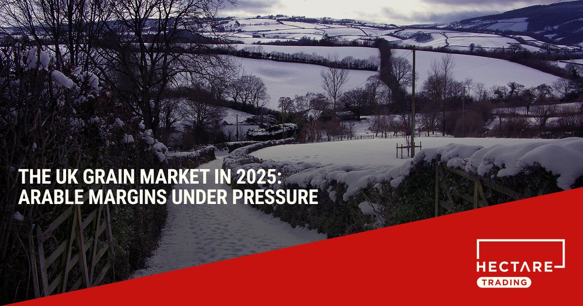For many UK arable farmers, 2025 has been another tough year:

🍞 Widening gap between farm and food prices
📊 Regional demand shifts
🌱 OSR a rare bright spot – but with risks ahead

Read our full review of the UK grain market in 2025:
 ow.ly/OPAw50XKORv