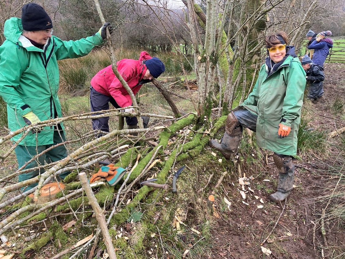 fixthefells tweet media