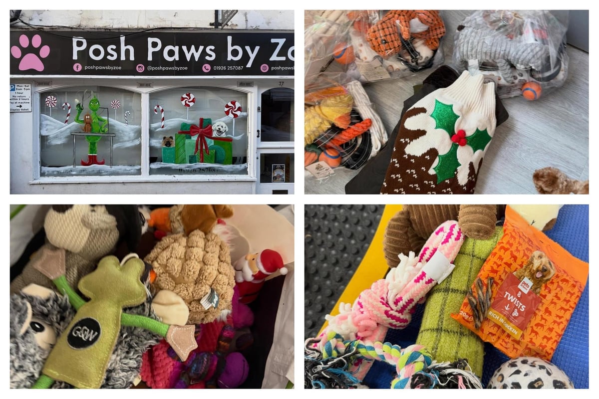 Warwick dog groomers collecting donations to help spread Christmas cheer at Rugby dog rescue charity trib.al/JXJE2G4