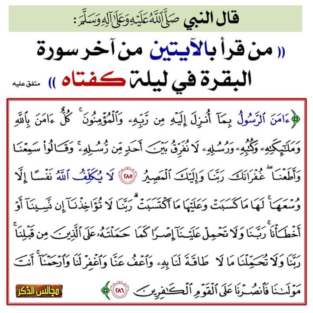 سنابل ذهبيه🌾 tweet media