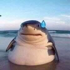 NOPE CHALLENGE tweet media