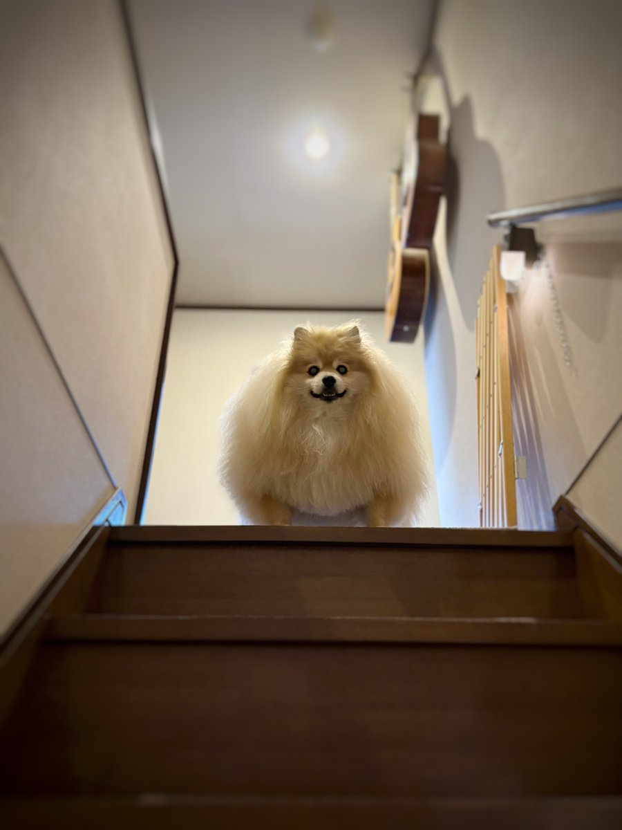 妖(よう) (@snow_white_999) / Posts / X