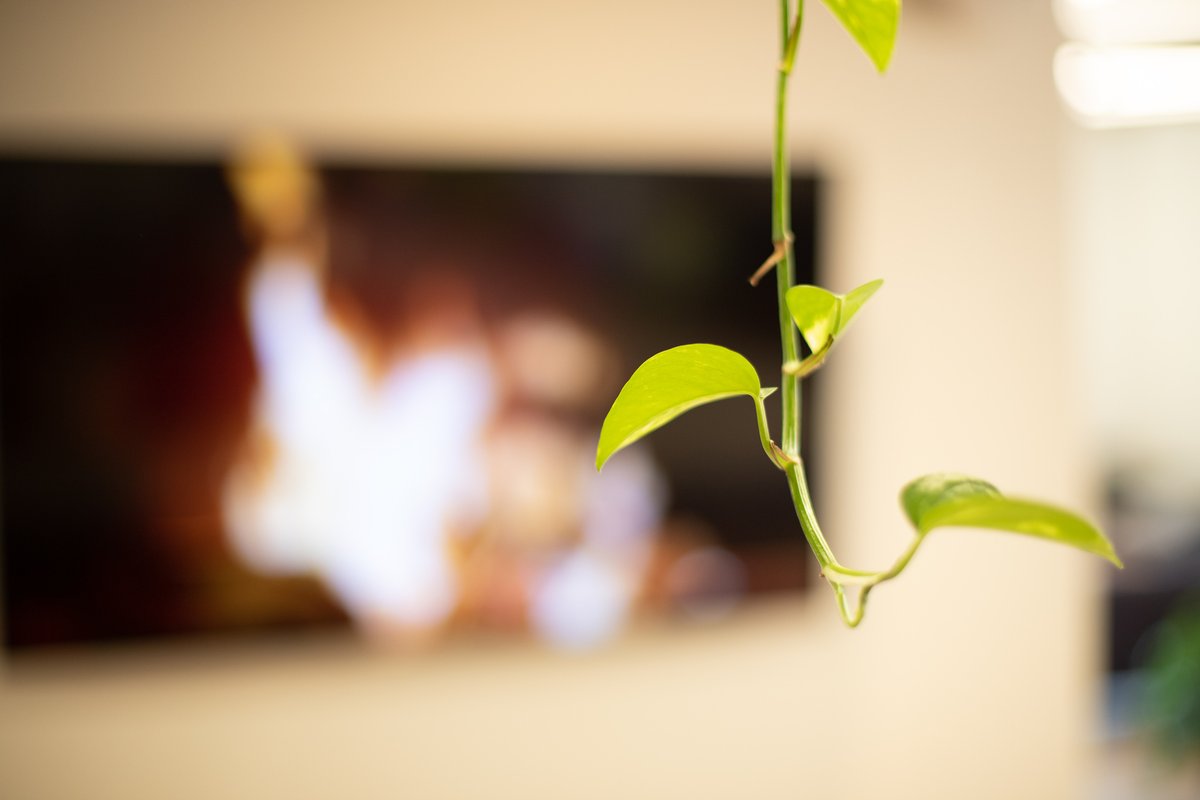 TheMillDE's tweet image. Winter mornings at The Mill Concord are all about comfort, connection, and an easy start to the workday.