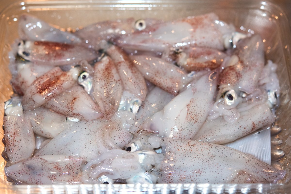 最近安売りの豆イカ(この呼び方でいいのだろうか)
ばっかり食べてる
うめえ 