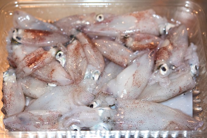 最近安売りの豆イカ(この呼び方でいいのだろうか)
ばっかり食べてる
うめえ 