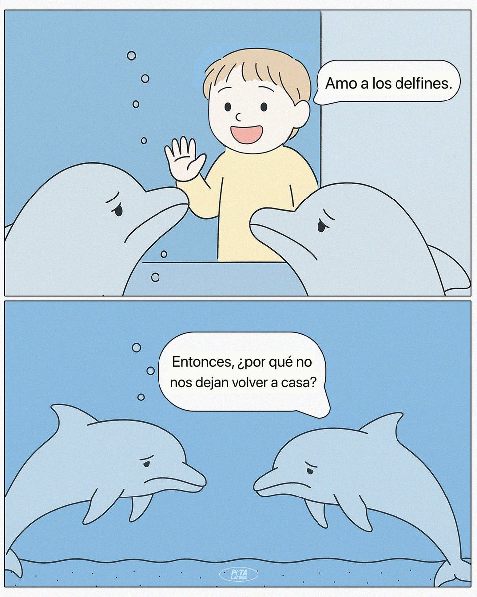 Si amas a los delfines, no compres un boleto para su miseria💔
Nunca visites parques marinos como <a href="/SeaWorld/">SeaWorld</a> que lucran con el sufrimiento de los animales.