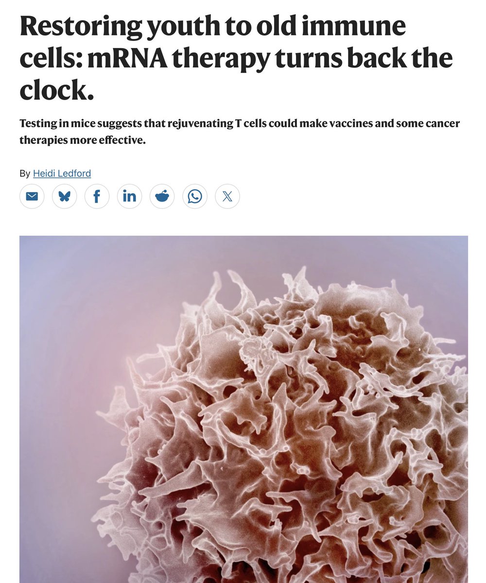 Rejuvenating an old immune system with mRNA, leveraging the liver, improving T-cell response to cancer immunotherapy and vaccines in the experimental model  <a href="/Nature/">nature</a> <a href="/zhangf/">Feng Zhang</a> 
nature.com/articles/s4158…
nature.com/articles/d4158…