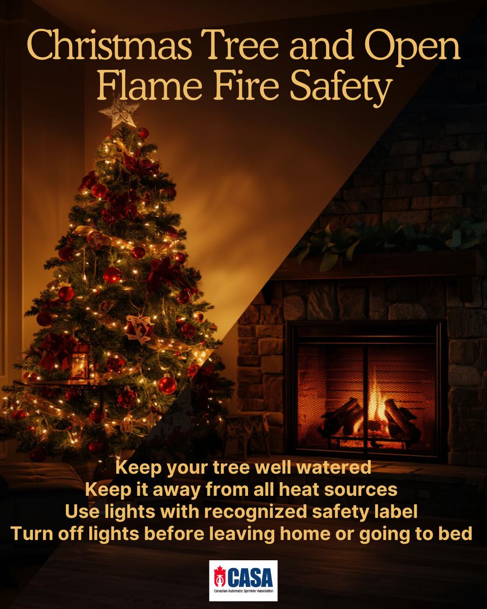 Christmas trees add so much joy to the holidays — but they can also be a fire hazard if not cared for properly. According to the National Fire Protection Association (NFPA), tree fires are rare but more likely to be serious when they happen, especially as trees dry out over time.