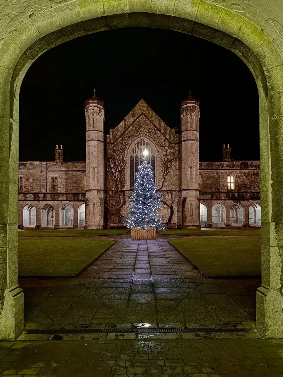AtlanticProgram's tweet image. What a beautiful shot of the Christmas tree in the Quadrangle, University of Galway 🎄✨

📷 goingtogalway