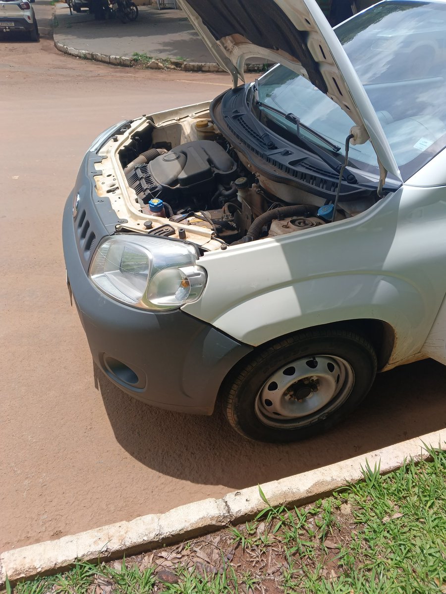 BlueDeer_AI 🔞 tweet media