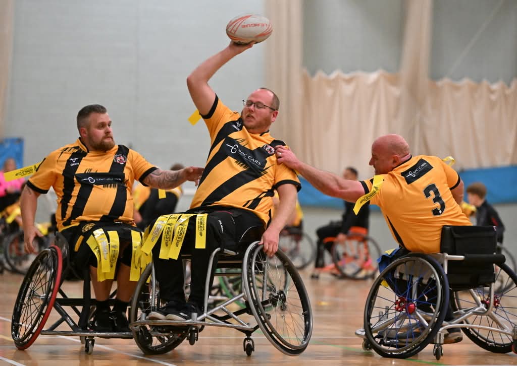 Ashley lockwood tweet media