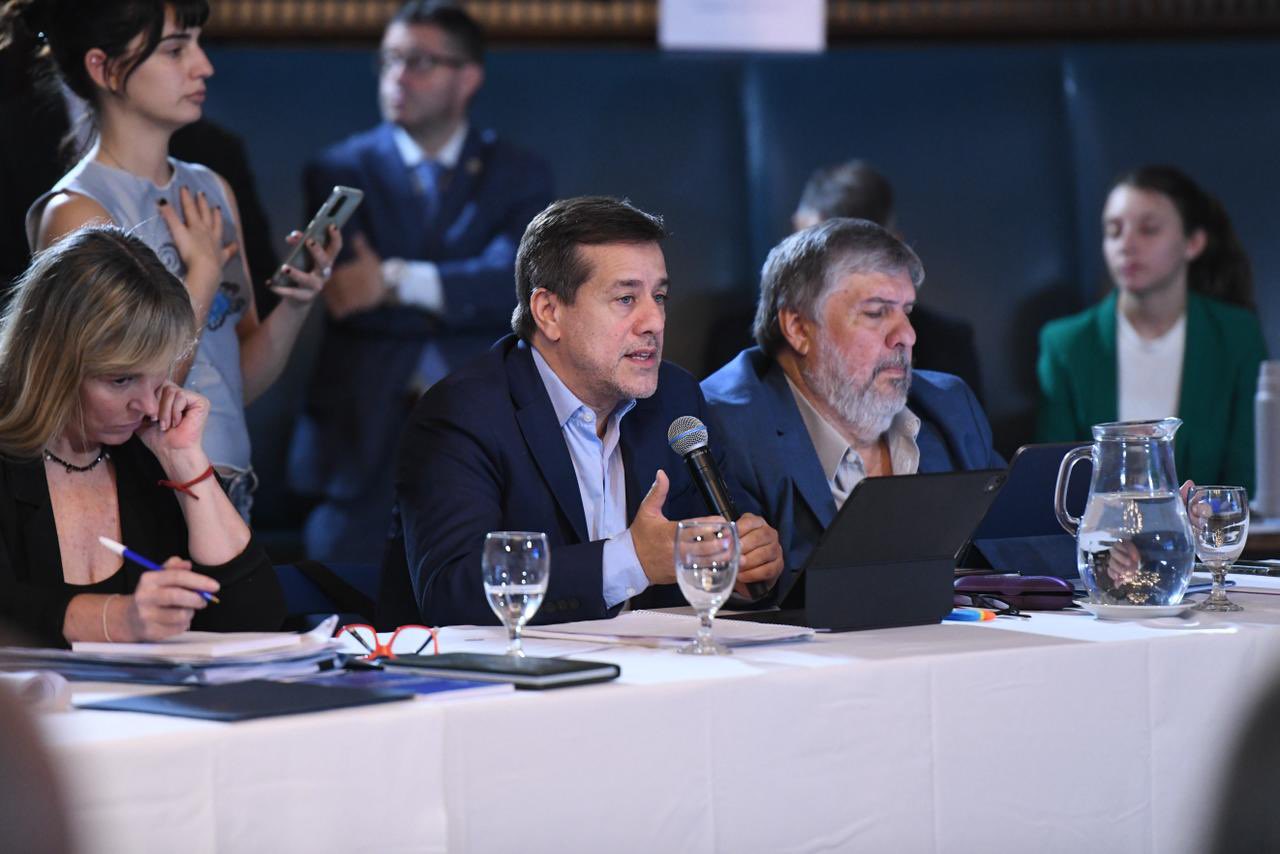 Mariano Recalde: "Los libertarios son punguistas de derechos"