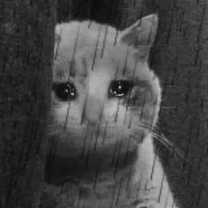 léa ✮⋆˙ tweet media