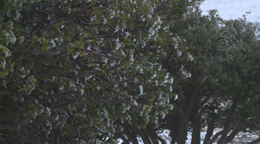 وزارة الزراعة: الهطولات المطرية مبشّرة حتى الآن وتنعكس إيجابًا على القطاع الزراعي 