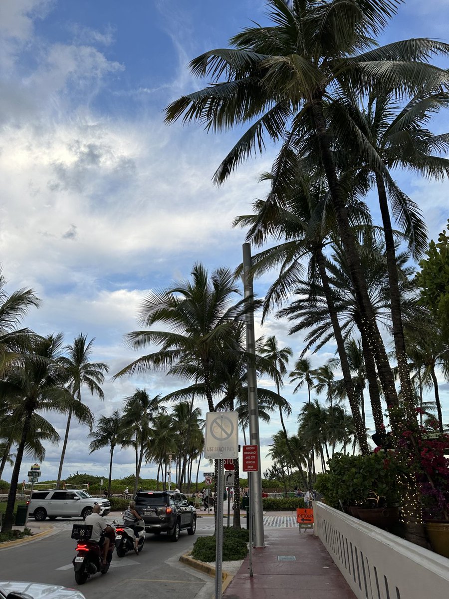 Wendy_LEEXIO's tweet photo. Traffic slows down, palms sway gently.
Some days are meant to be soft. https://t.co/V1X1c1eYOE