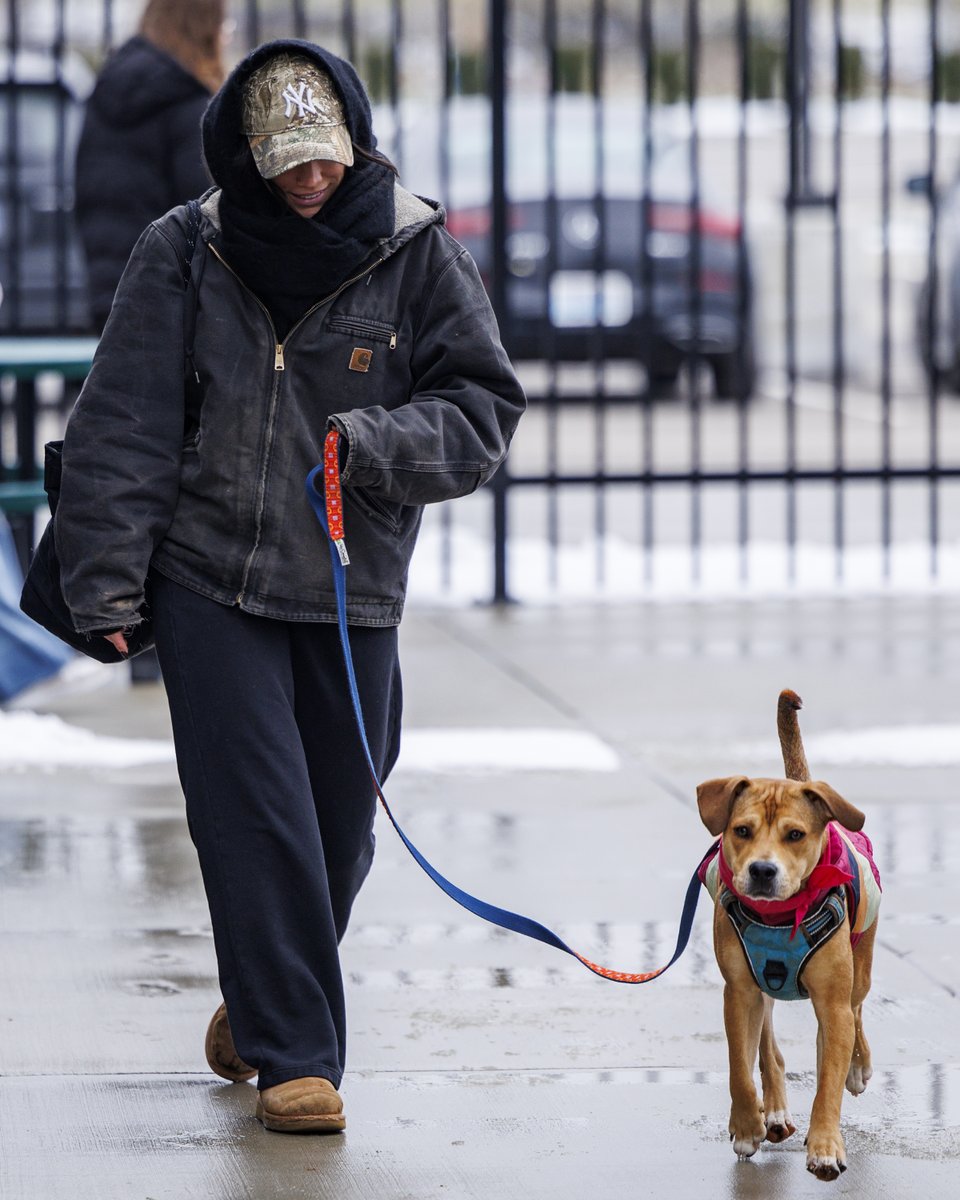 Lexington Sporting Club Women tweet media