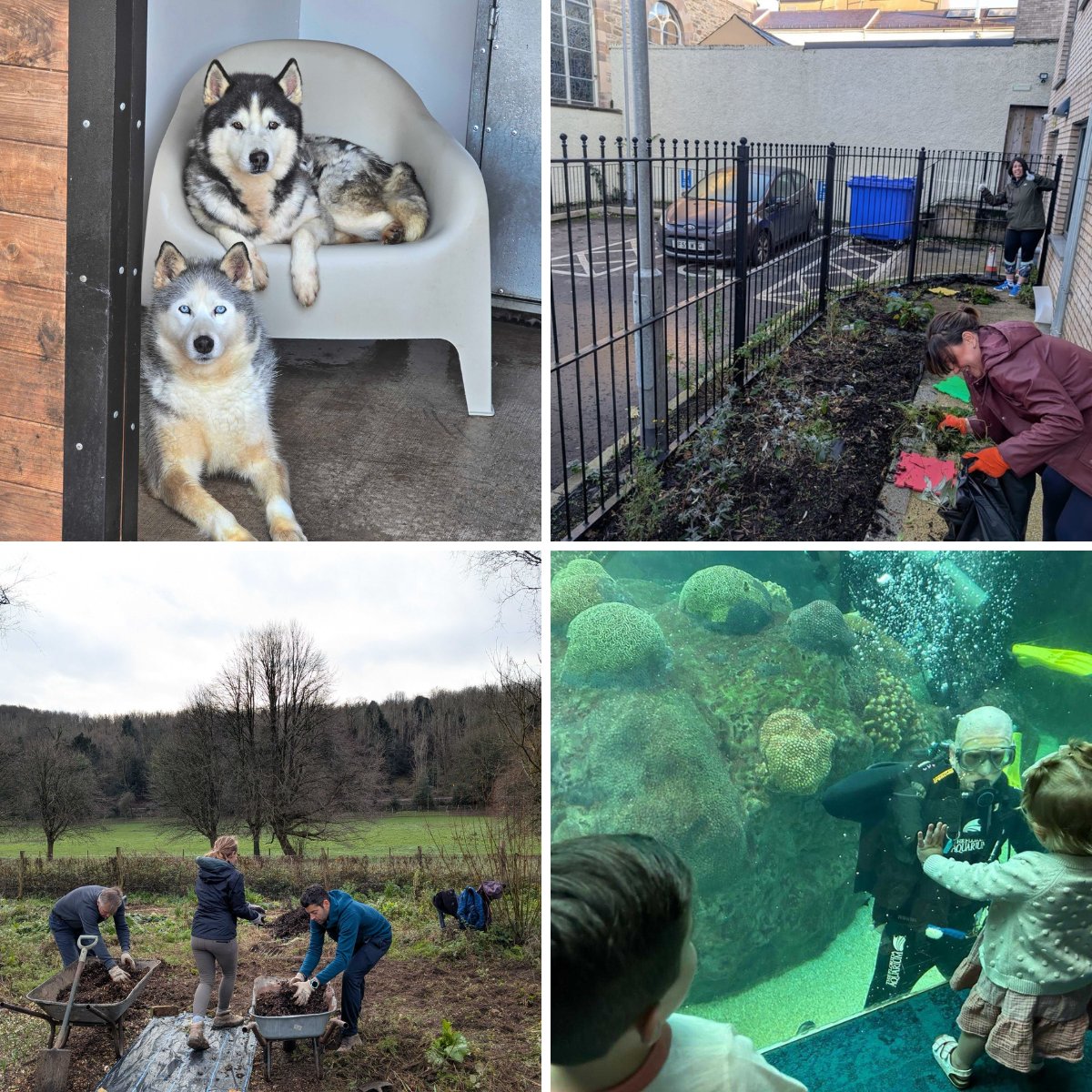 Learning Pool tweet media