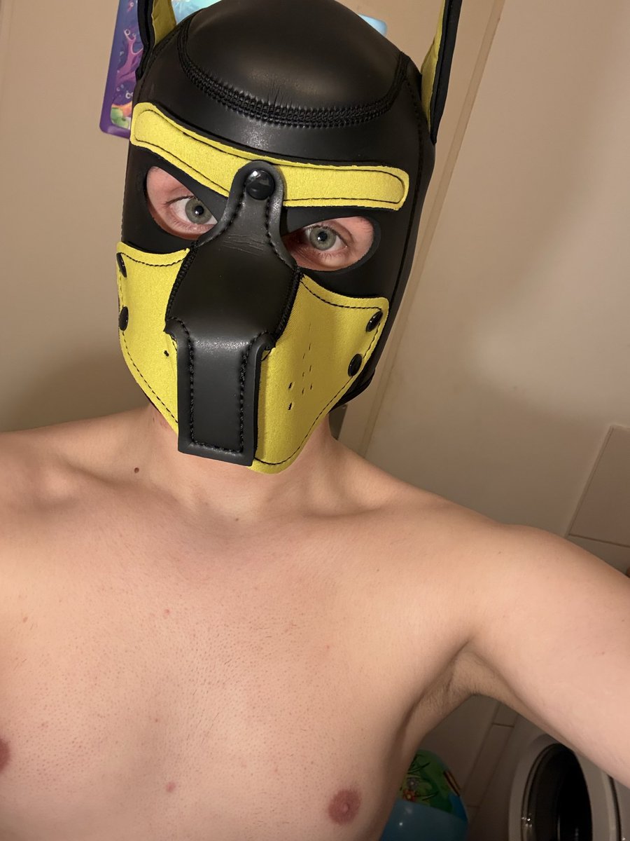 Pup_Boy_Berlin tweet media