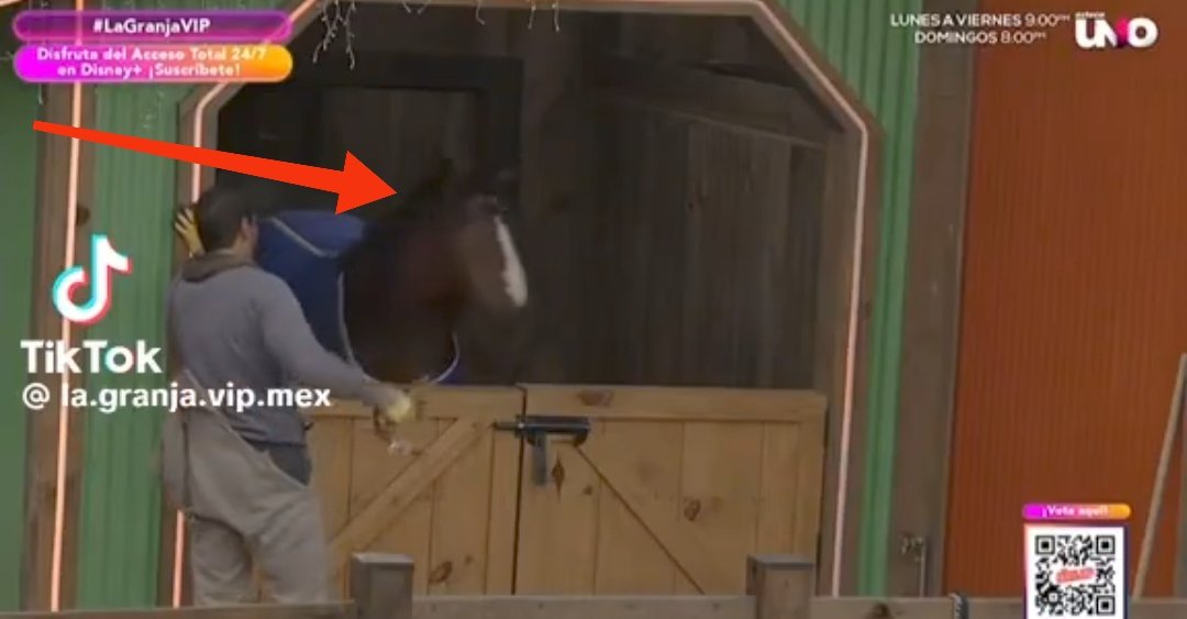 lionlives_'s tweet image. #lagranjavip @lagranjavipmx #LaGranjaVIPMX #proteccioncanela #patronviolentador #concanelaNo @VengaLaAlegria 
NO SE PUEDE PERMITIR QUE EL PATRÓN GOLPEE A CANELA 😡😡😡😡😡😡😡😡😡😡😡😡
#FUERAELPATRÓN 
#conloscaballosNO #conlosanimalesNO