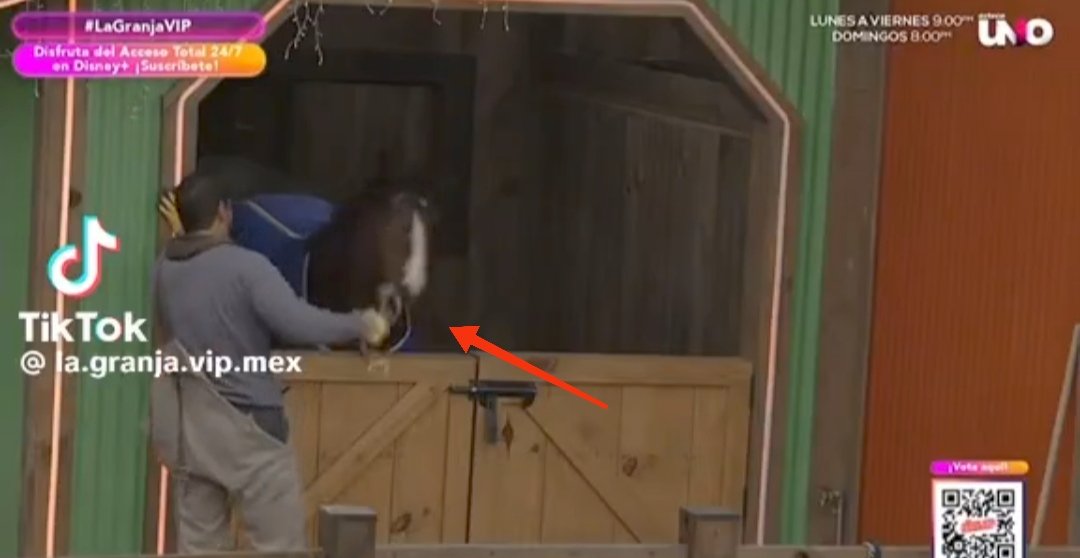 lionlives_'s tweet image. #lagranjavip @lagranjavipmx #LaGranjaVIPMX #proteccioncanela #patronviolentador #concanelaNo @VengaLaAlegria 
NO SE PUEDE PERMITIR QUE EL PATRÓN GOLPEE A CANELA 😡😡😡😡😡😡😡😡😡😡😡😡
#FUERAELPATRÓN 
#conloscaballosNO #conlosanimalesNO