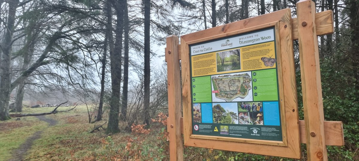 Native Woodland Trust tweet media